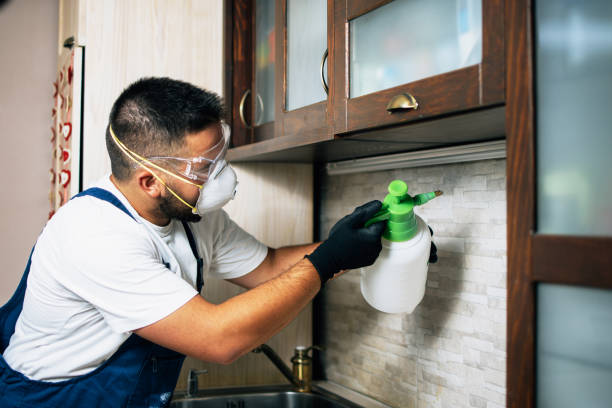 Best Best Pest Control Near Me  in Glenwood, AR