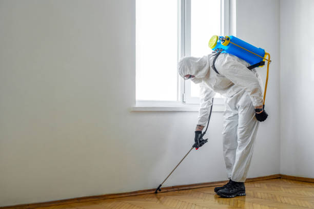 Best Pest Control Near Me in Glenwood, AR