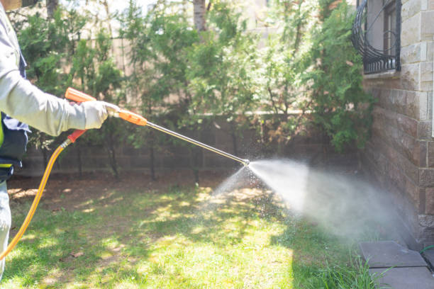 Best Pest Removal Services  in Glenwood, AR