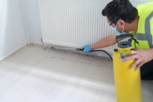 Best Affordable Pest Control Services  in Glenwood, AR